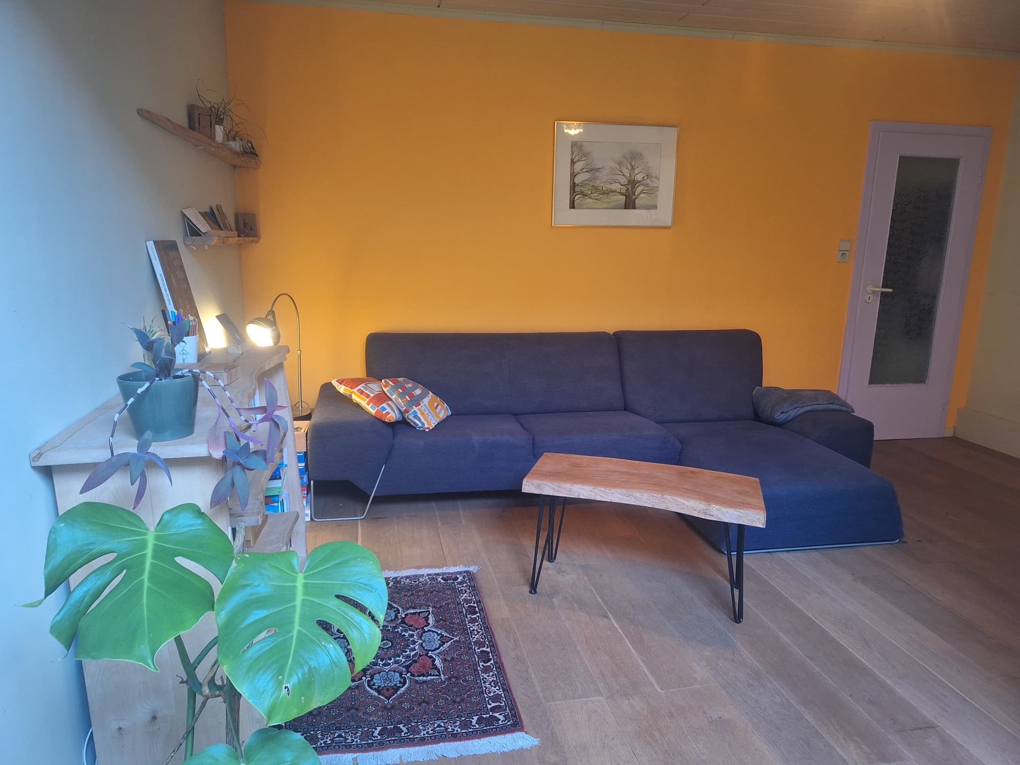 Woonkamer met zetel, plant en houten tafel